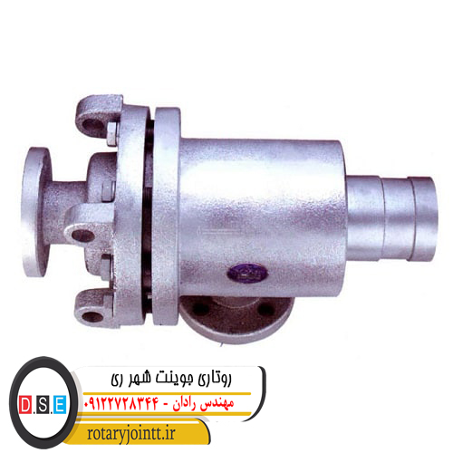 روتاری جوینت شهر ری