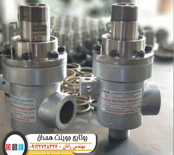 روتاری جوینت همدان